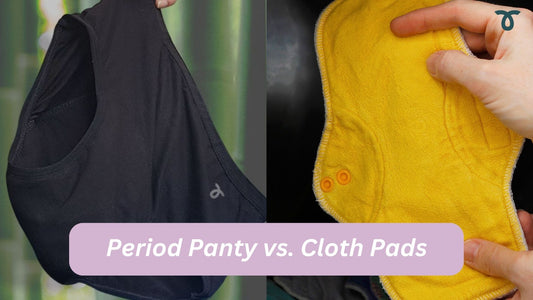 Period Panties vs. Cloth Pads